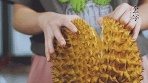 榴蓮剝好肉后，搗成泥狀。