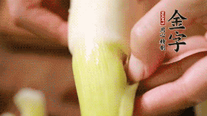 茭白剝?nèi)ネ鈿?，先切片再切絲。