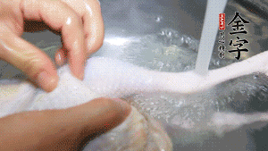 土雞處理干凈。（如果買不到土雞，一般的雞也是可以的，不過需要汆水。溫水下鍋汆燙7分鐘左右，汆燙時(shí)需要適時(shí)翻動(dòng)。汆燙雞肉是為了去掉生腥味，也是一次徹底清潔的過程，可以使燉出的湯清爽而不渾濁，鮮香而無異味）