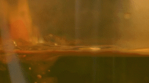 雞肉、鹽、料酒入冷水鍋水開后撇去浮沫，溫水洗凈。