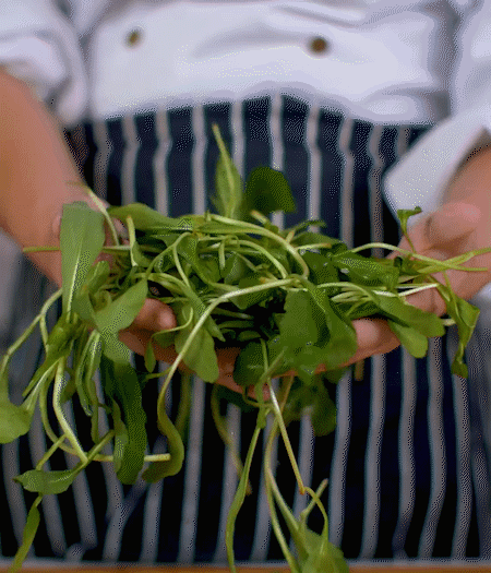 馬蘭頭焯水，切成細末。